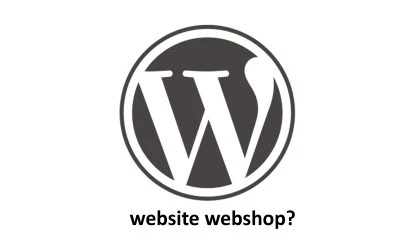 professionele website